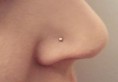 /album/galeria-piercing/nose-piercing-which-side-jpg/